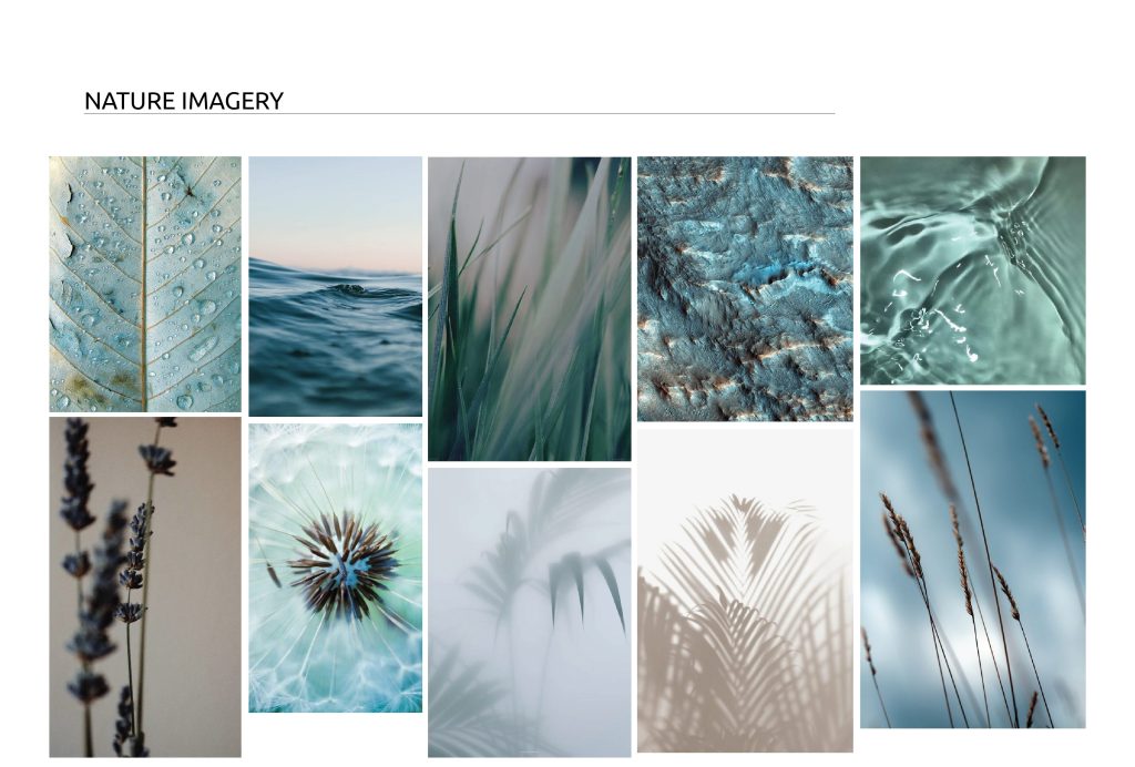 acu physio - physioptherapy clinic branding design - nature imagery