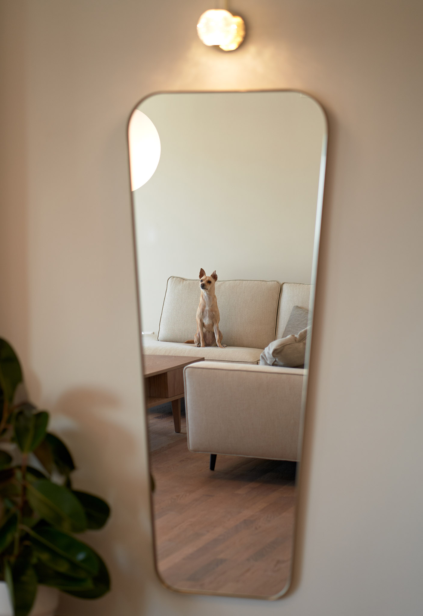 Renovated apartment in Thessaloniki - mirror and lamp detail on living room